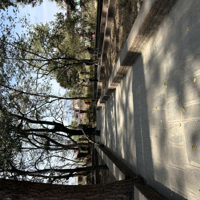 235473372.jpg