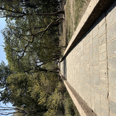 579136745.jpg